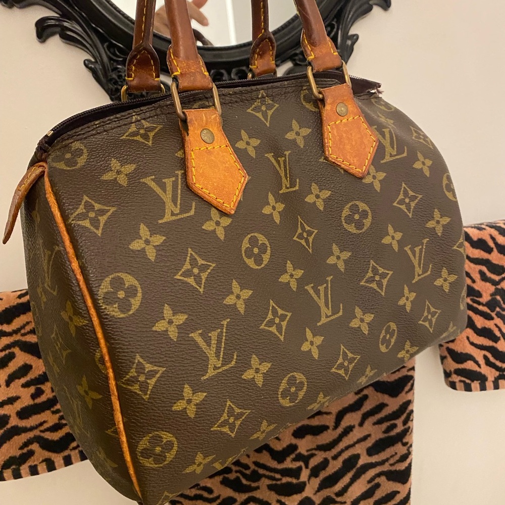Louis Vuitton Satchel bag